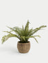Marks & Spencer "Artificial Fern Plant In Pot"